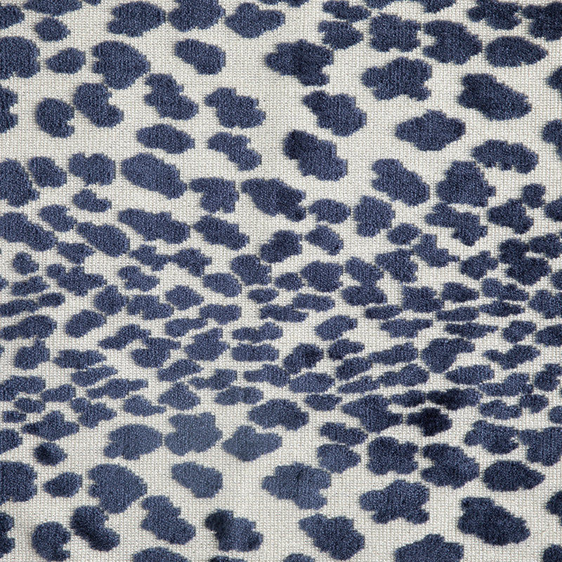 Cougar Saphire
