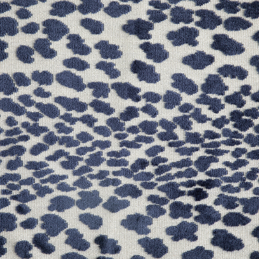 Cougar Saphire