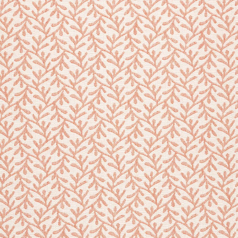 Coral Punch
