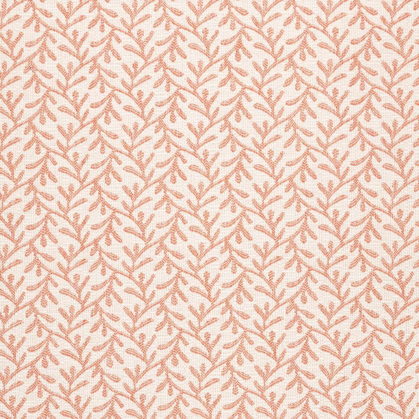 Coral Punch