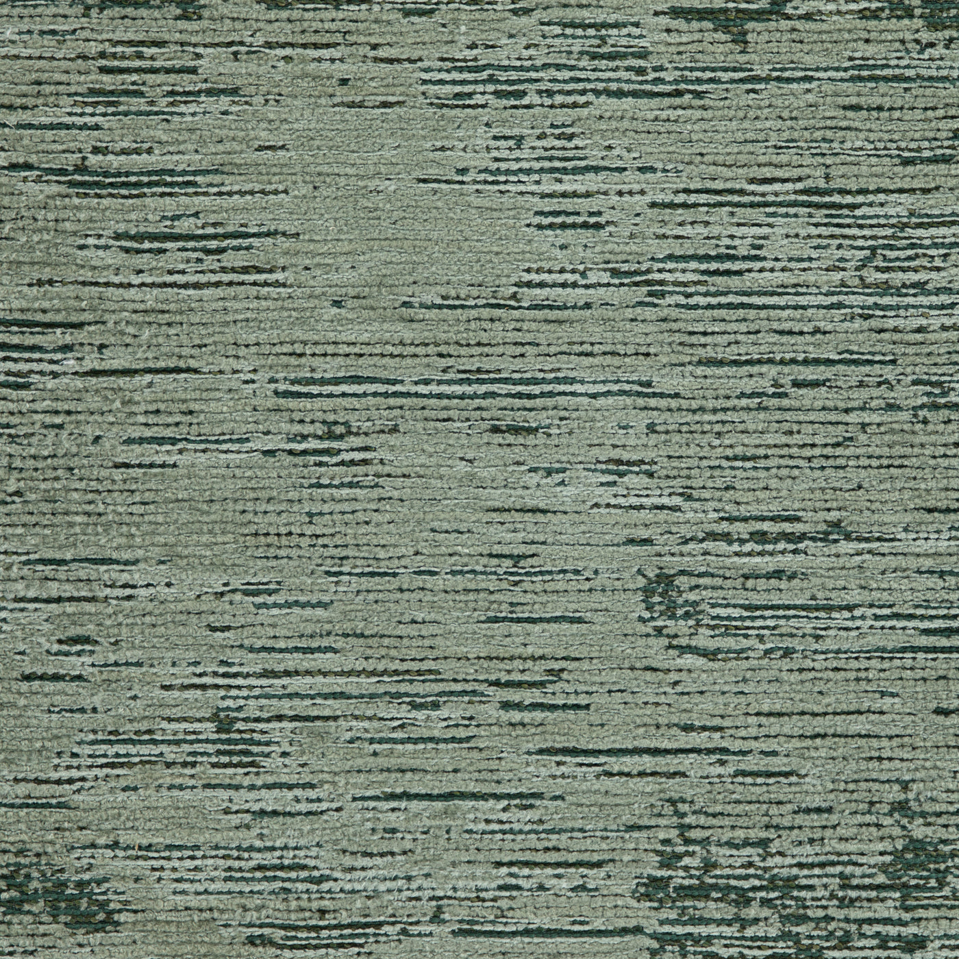 Traced Blue Spruce