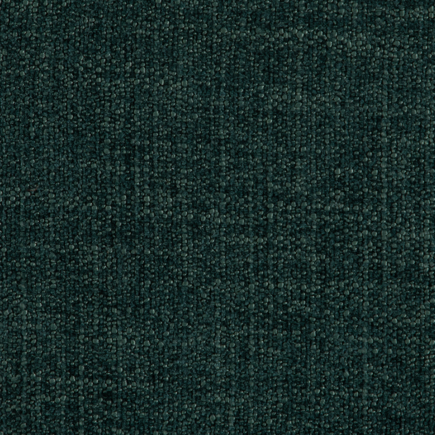 Sybil Blue Spruce