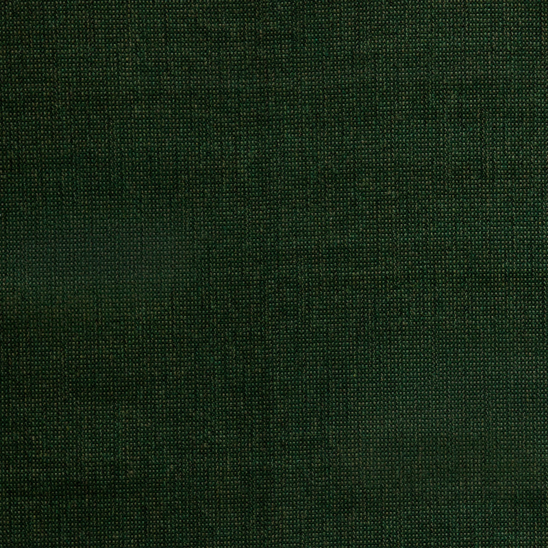 Demo Forest