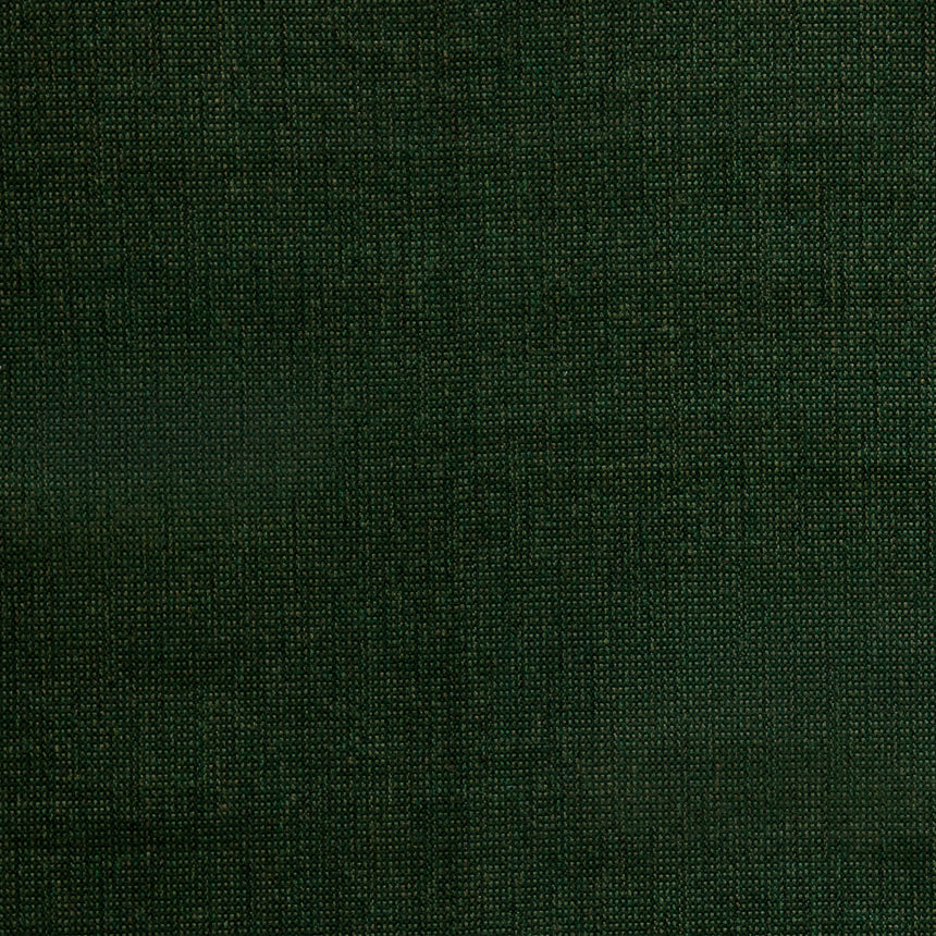 Demo Forest
