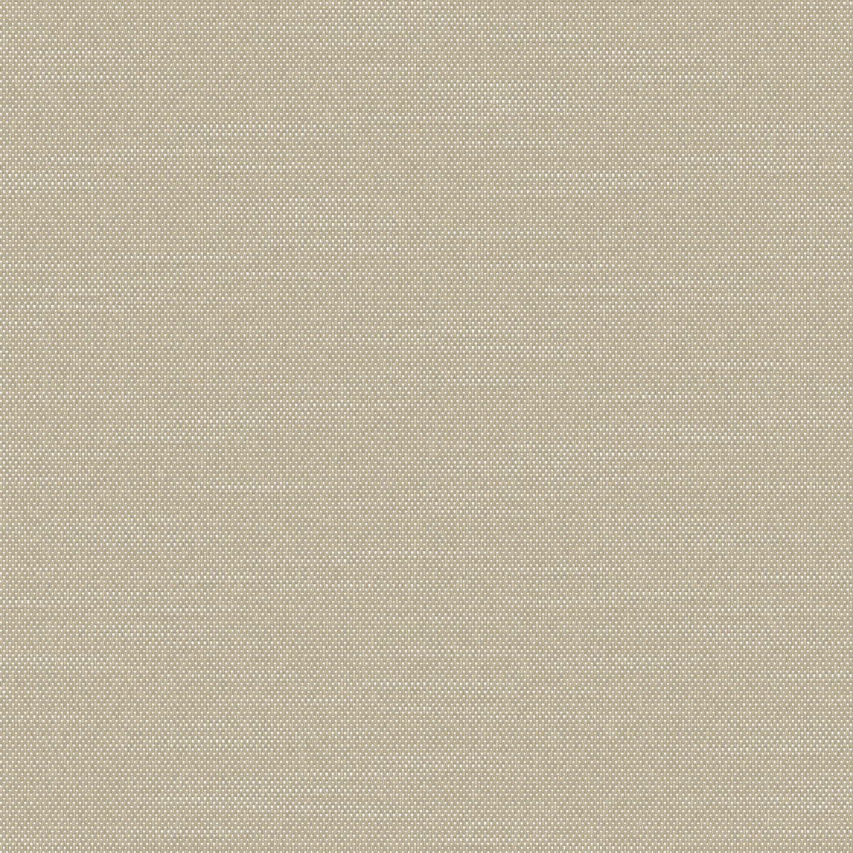 Everyday Sand