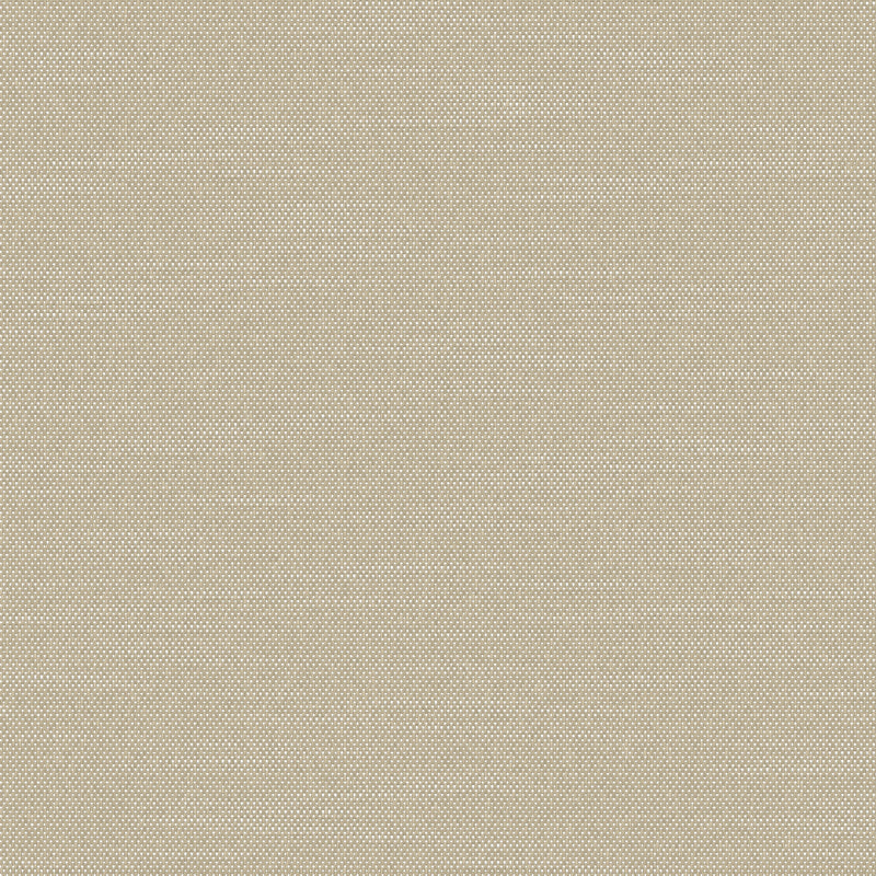 Everyday Sand