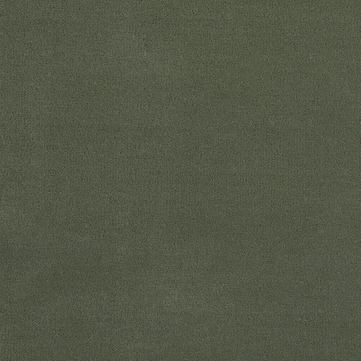 Merino Moss