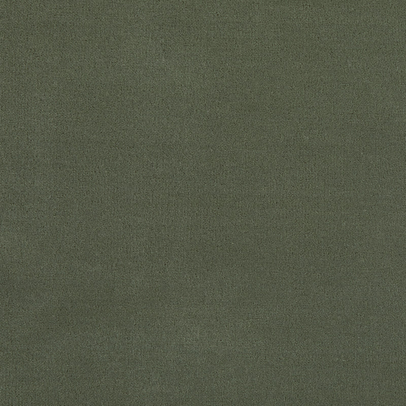 Merino Moss