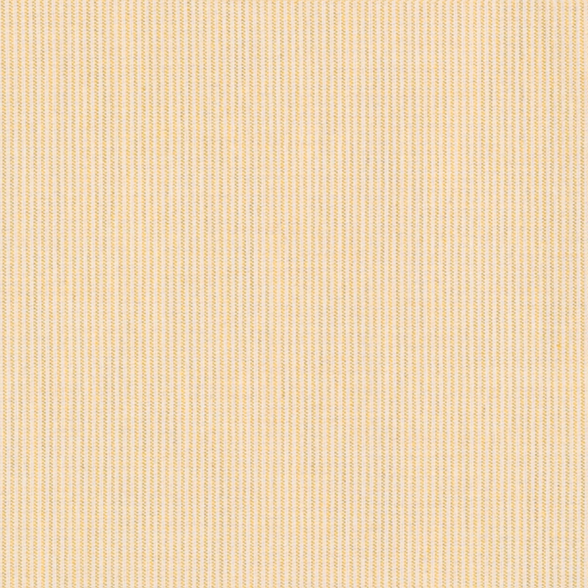 Mini Stripe Citron