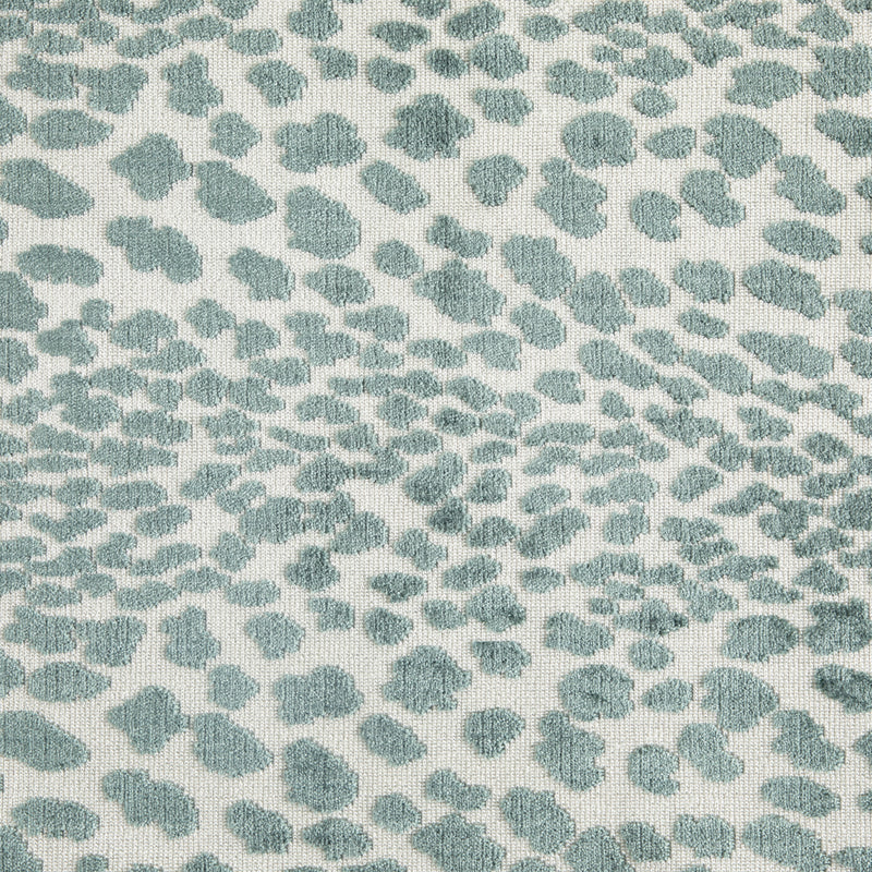 Cougar Blue Spruce