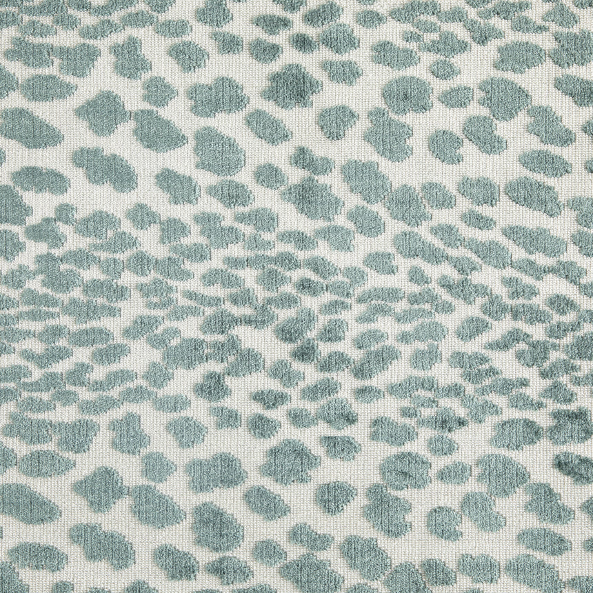 Cougar Blue Spruce