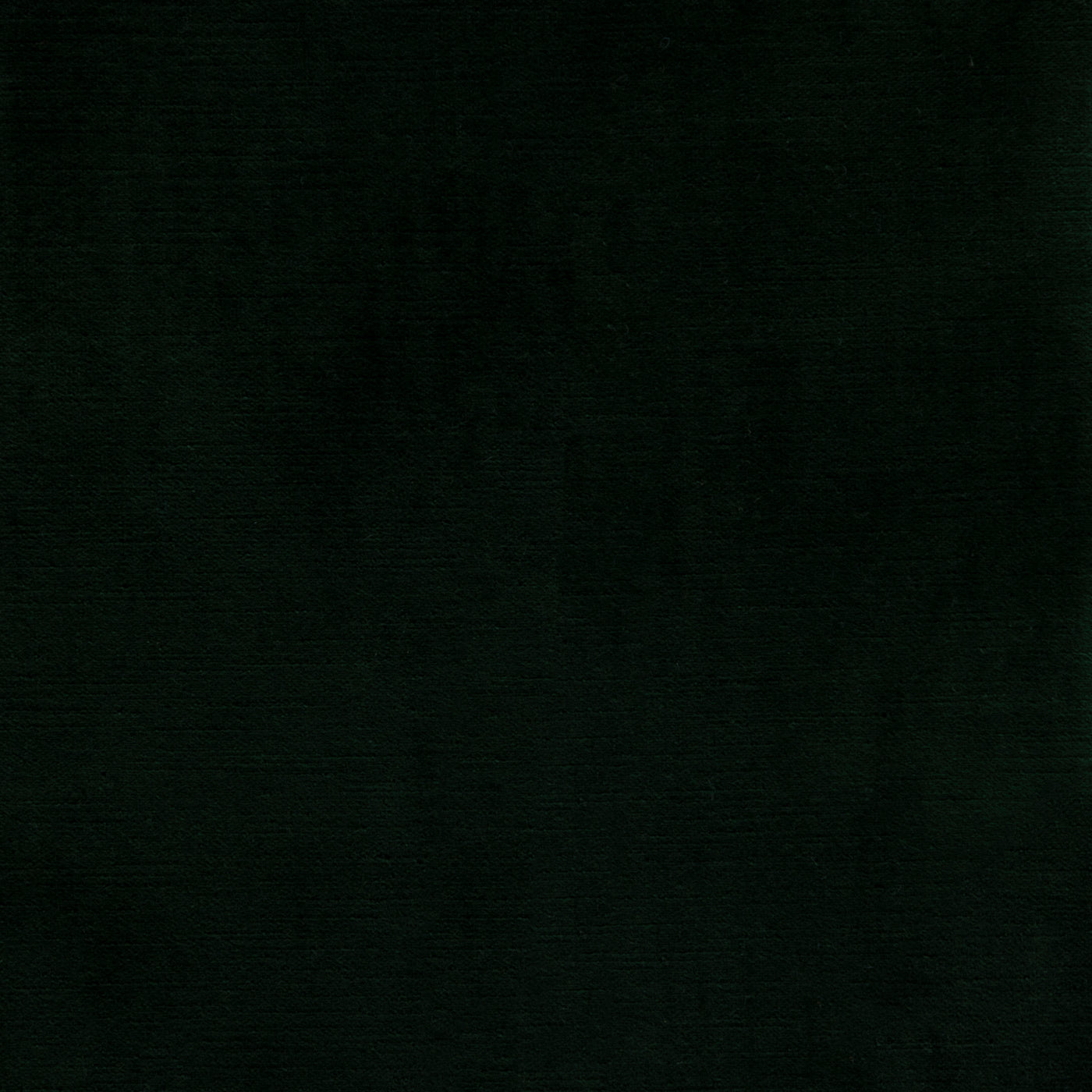 Cloak Forest
