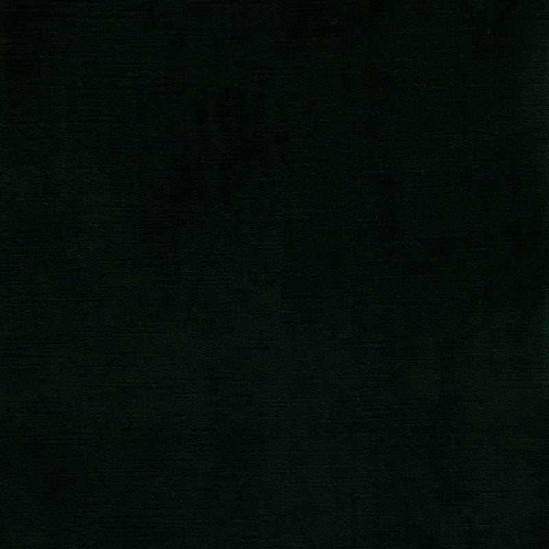 Cloak Forest