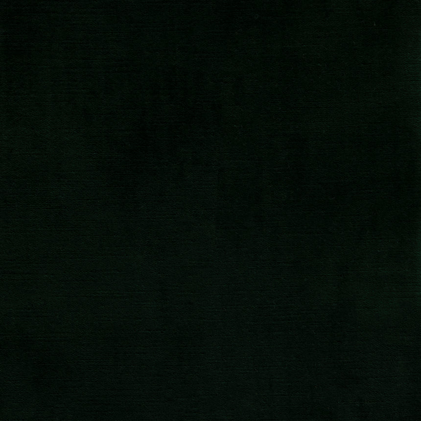 Cloak Forest
