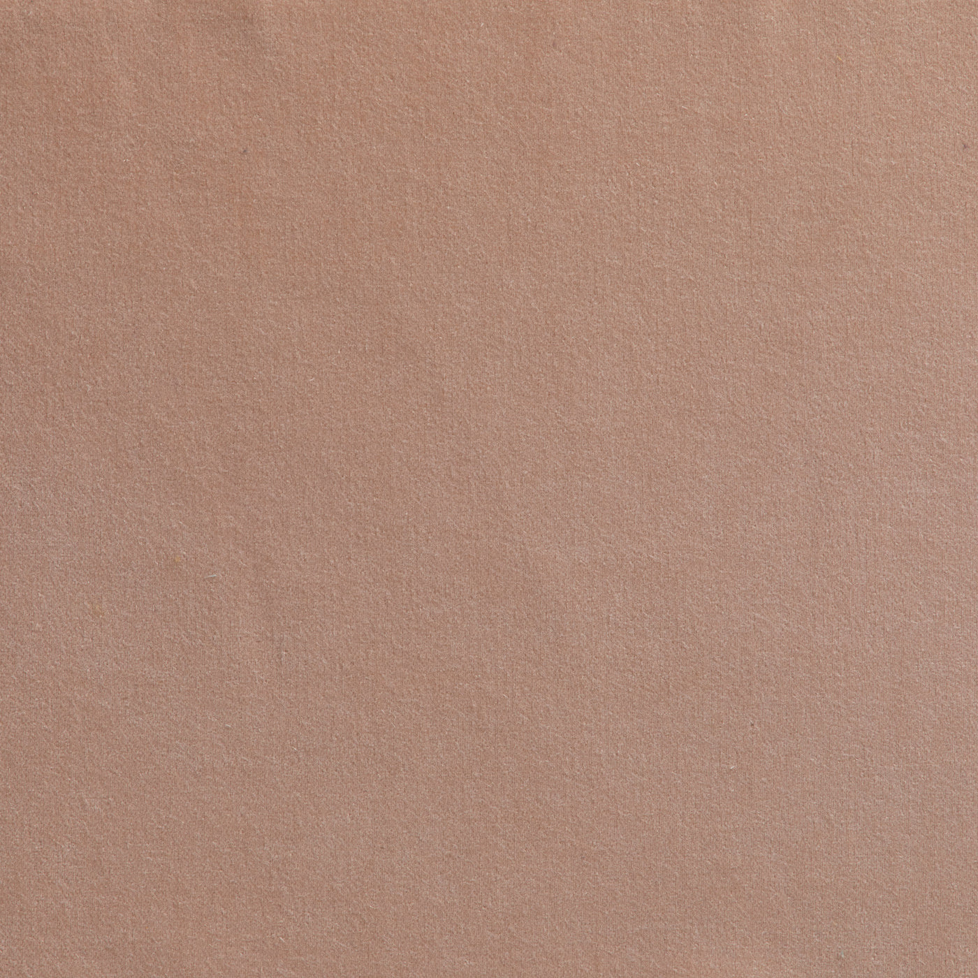 Cicero Blush