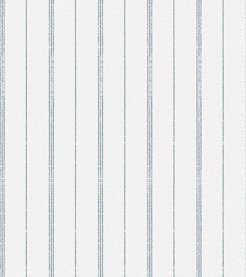 French Stripe Chambray
