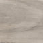 Oyster Teak