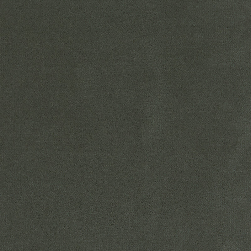 Merino Moss