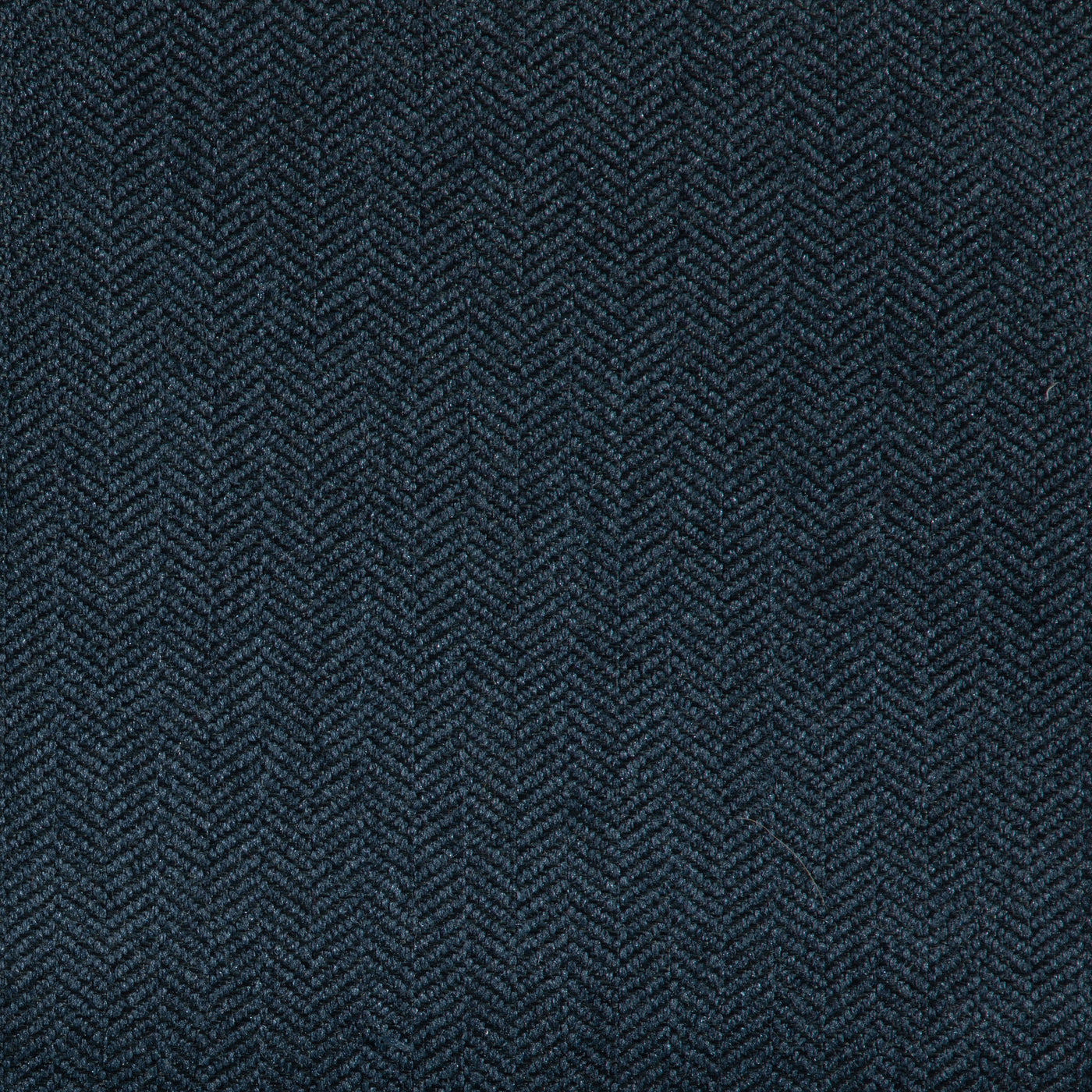 Dapper Indigo