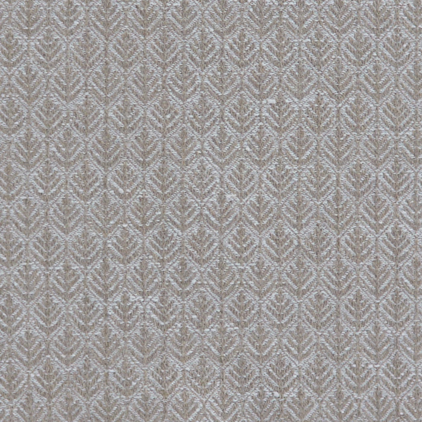 Noah Taupe