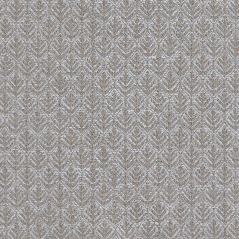Noah Taupe