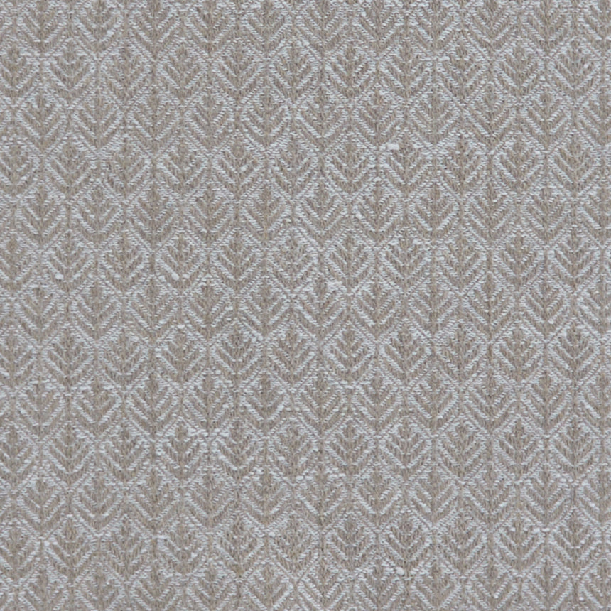 Noah Taupe