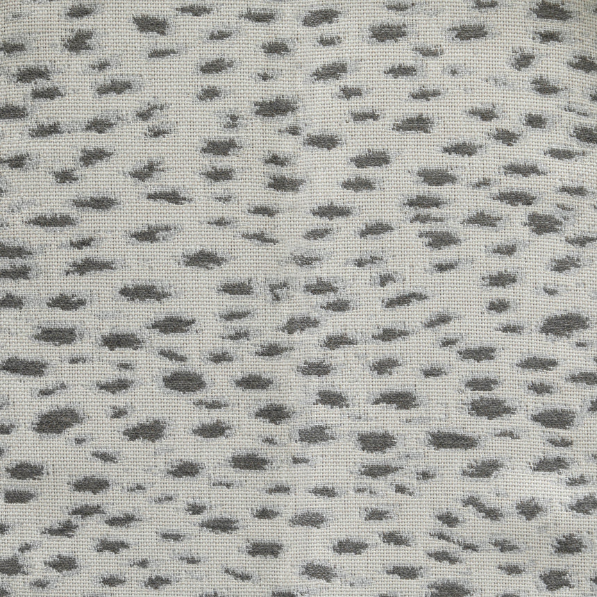 Snow Leopard Dove