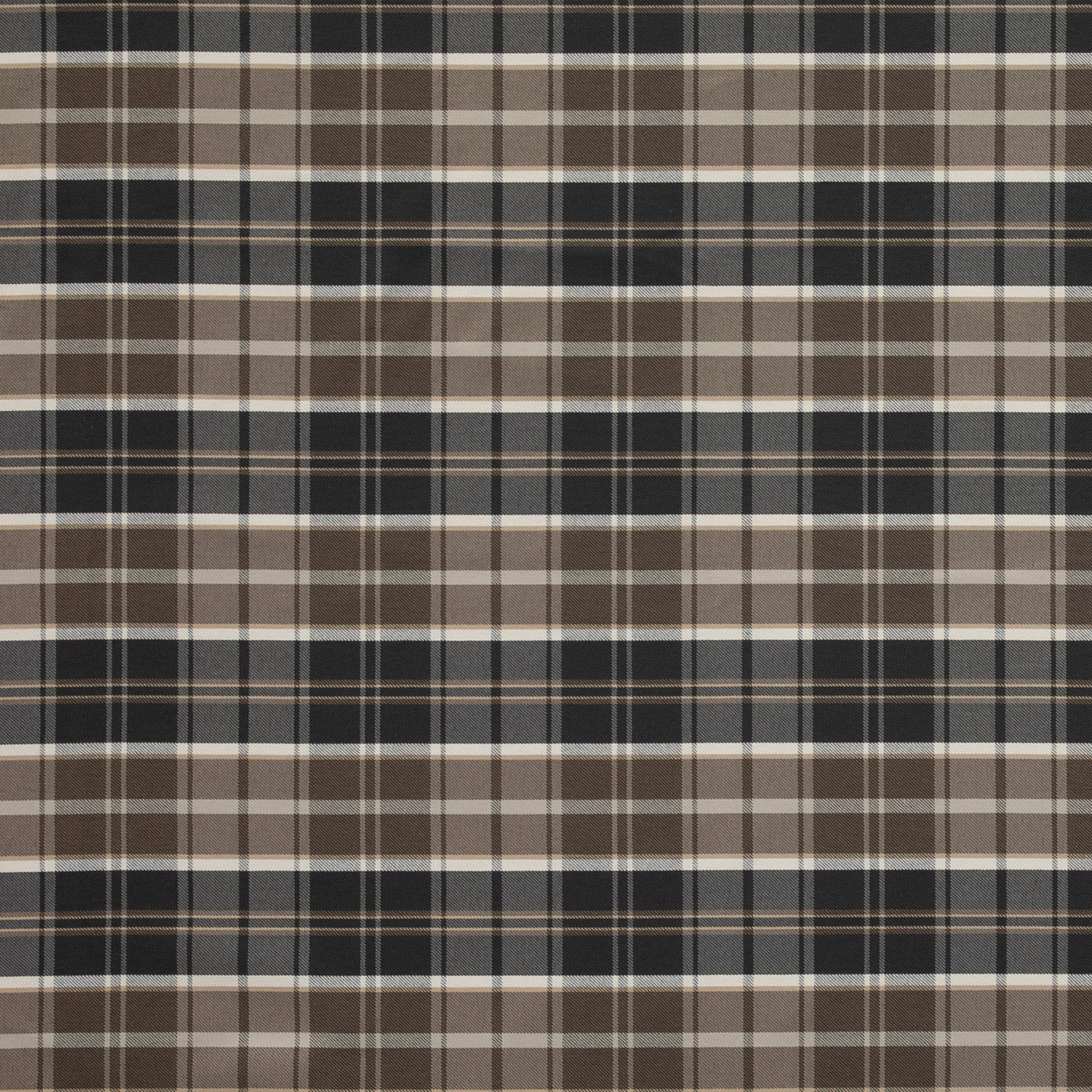 Tartan Ale