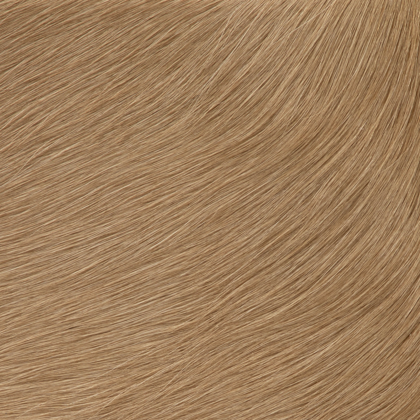 Hair On Hide Saddle