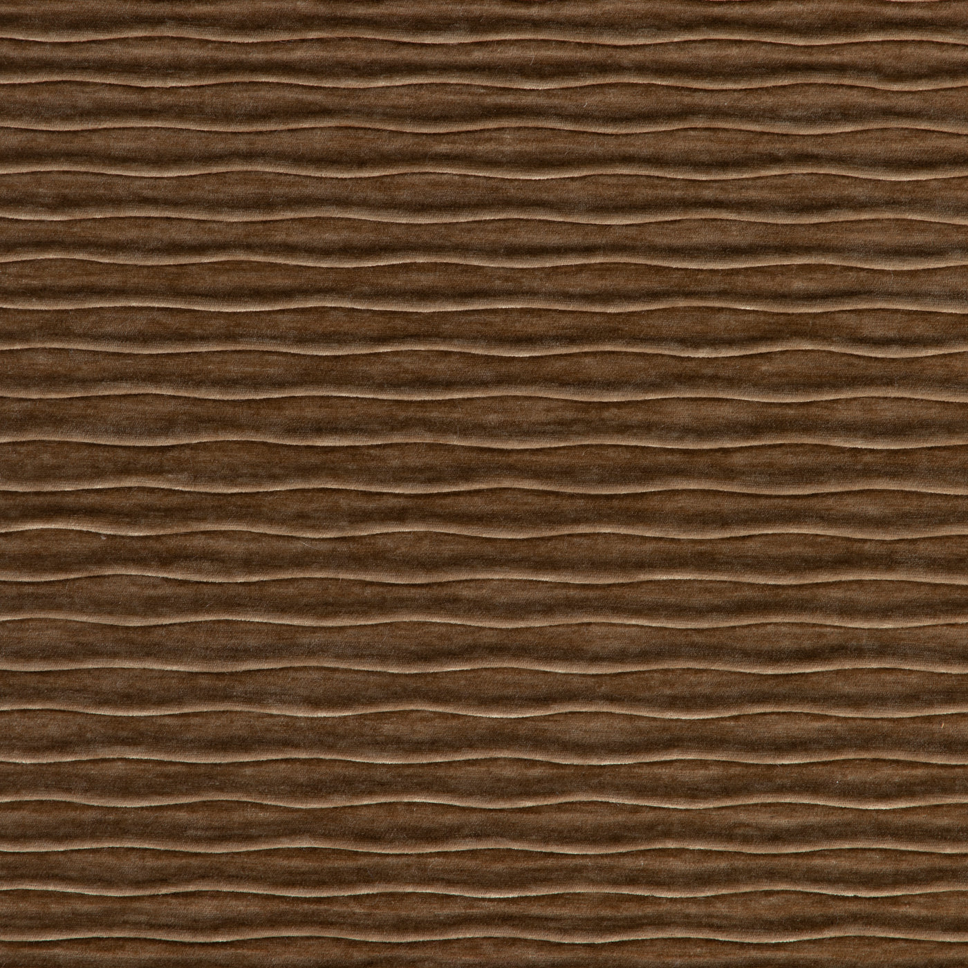 Lux Waves Camel