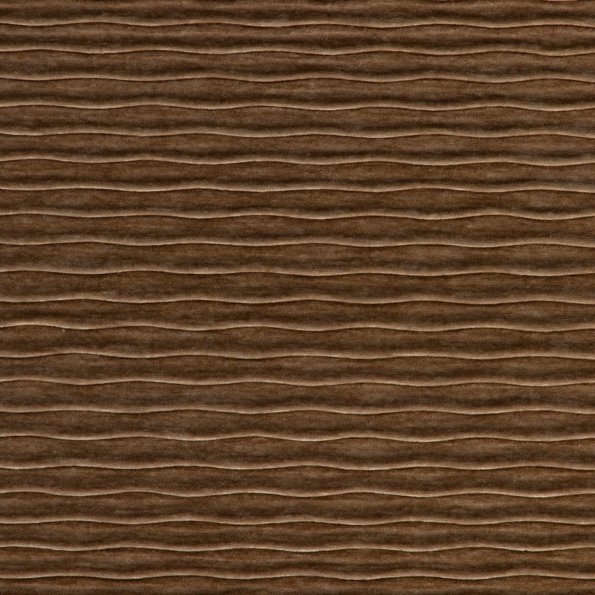 Lux Waves Camel