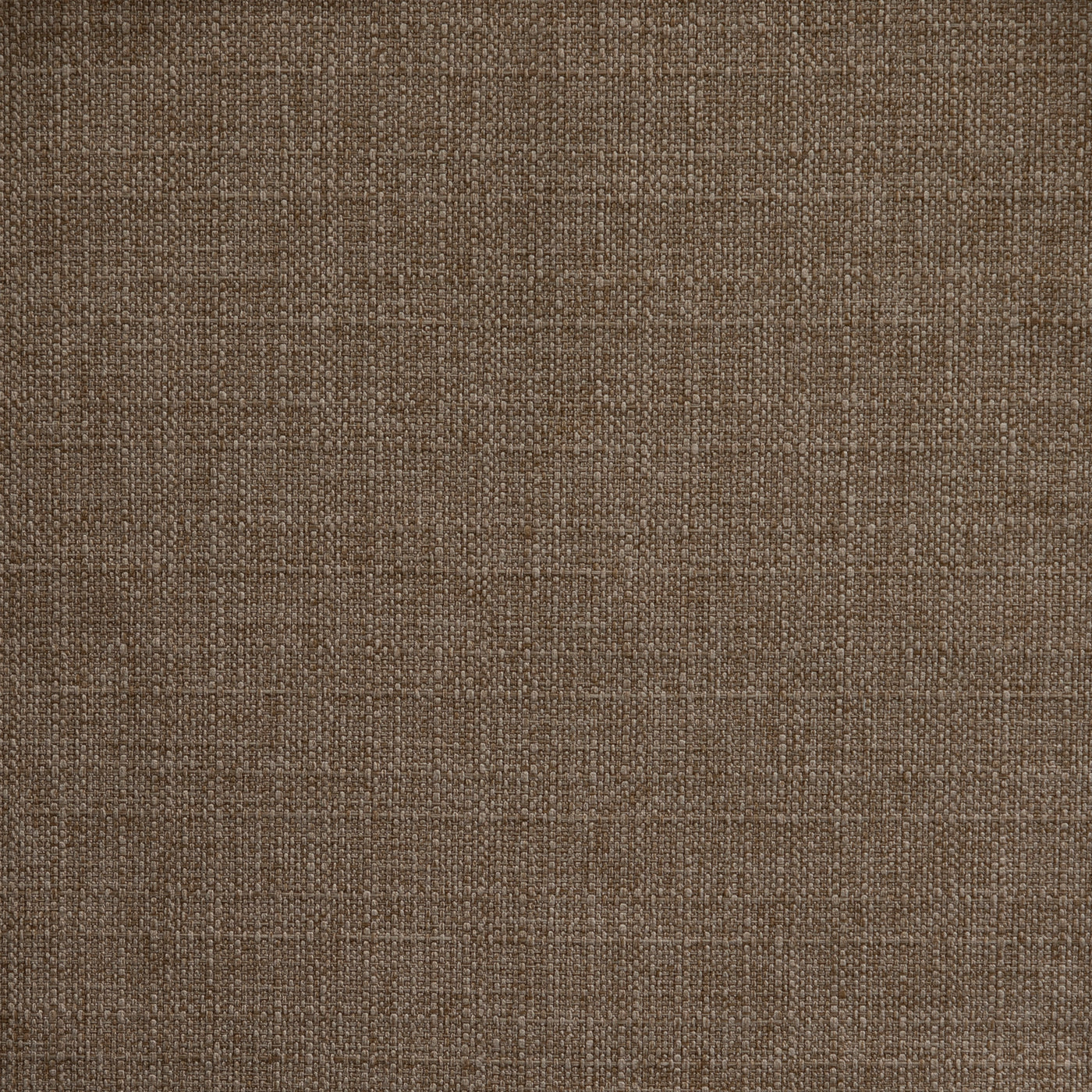 Padre/oatmeal