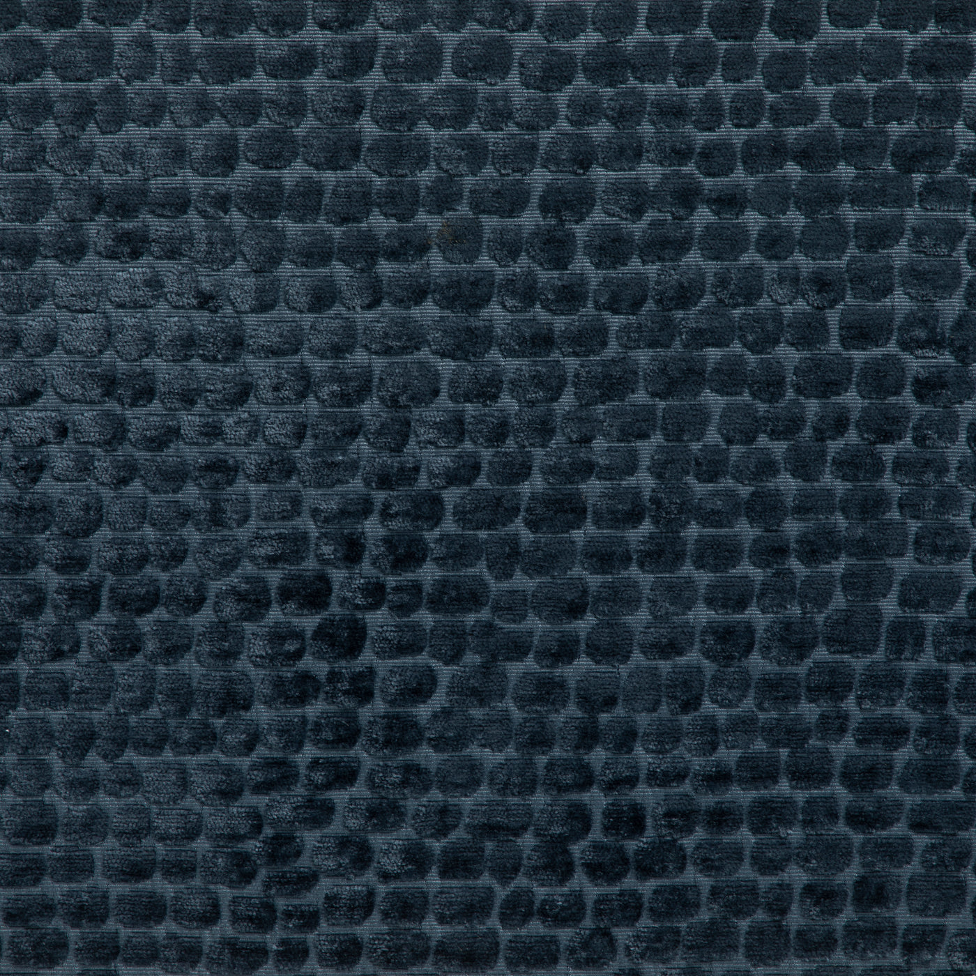 Lizzo Slate