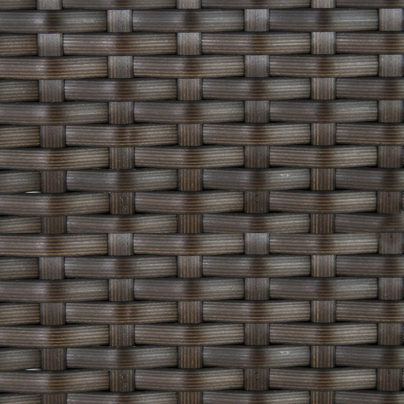 Black Walnut
