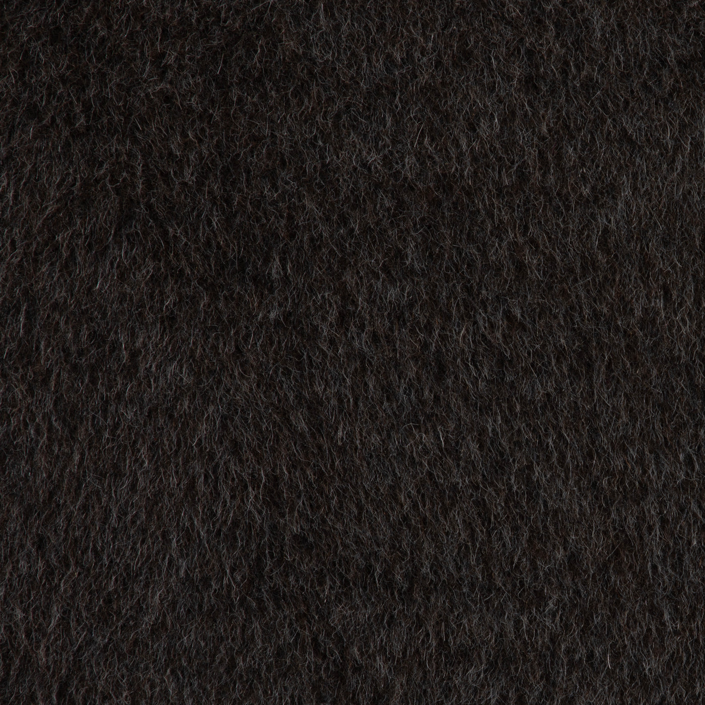 Paca Bark