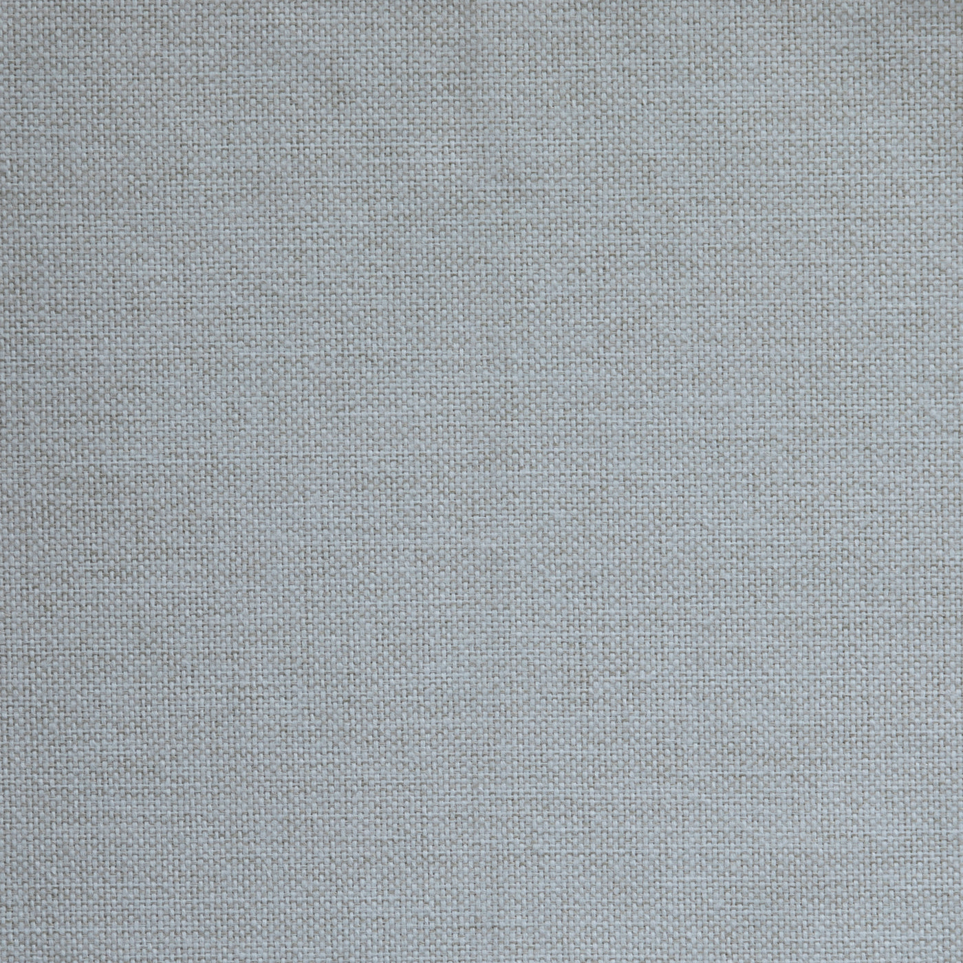 Amuse/white