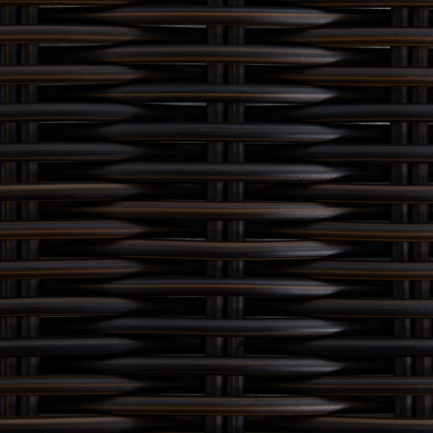 Black Walnut