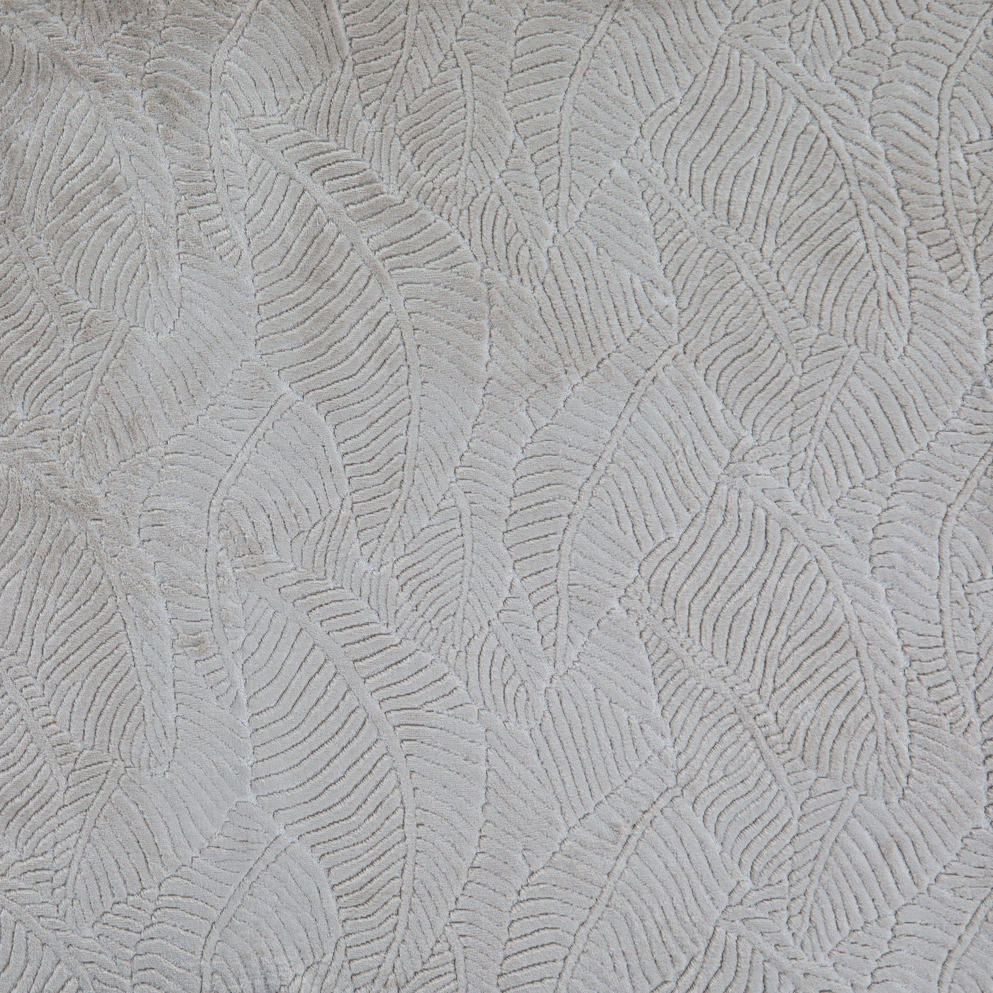 Palmetto Ivory