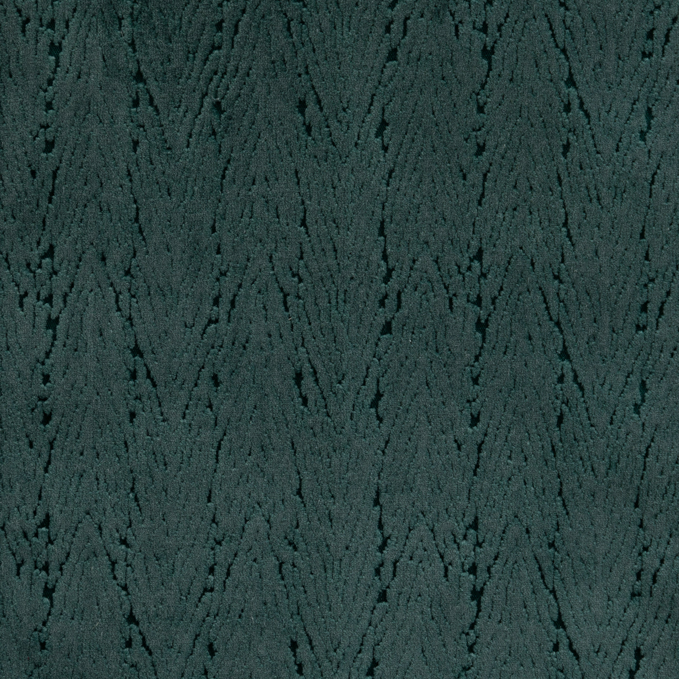 Cypress Blue Spruce