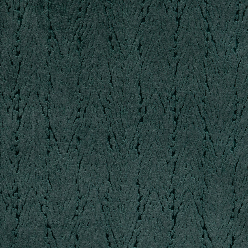 Cypress Blue Spruce