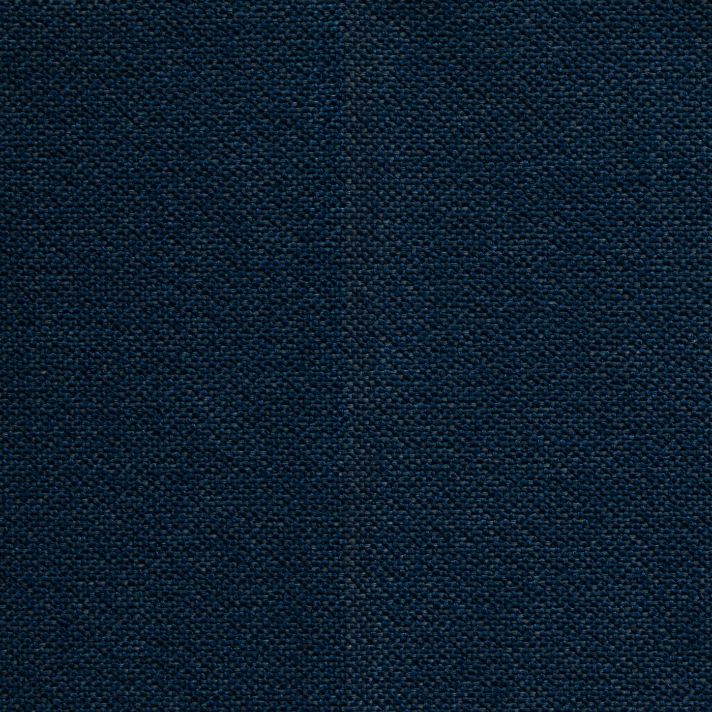 Intermix Indigo