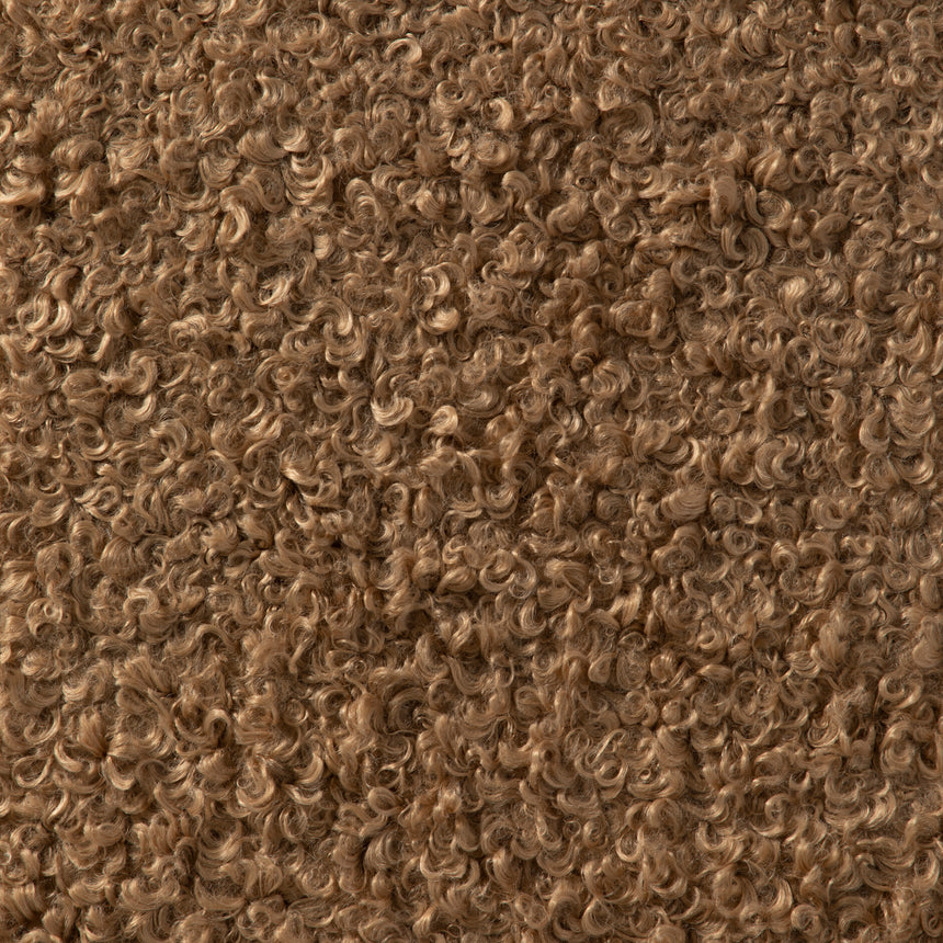 Curly Camel