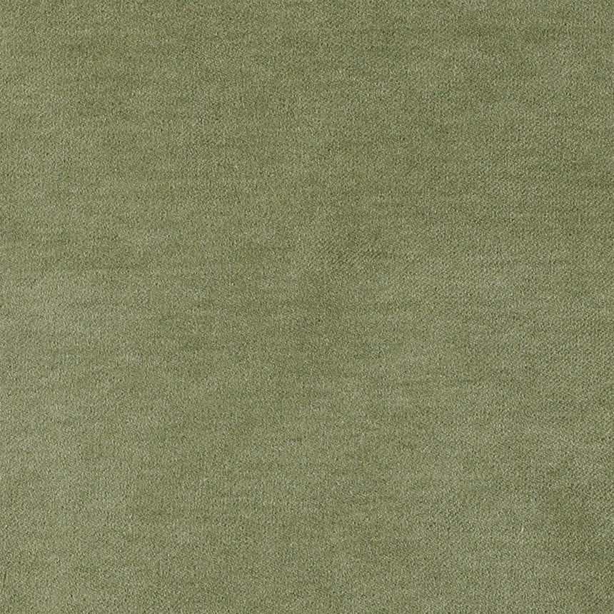 Velvet Moss