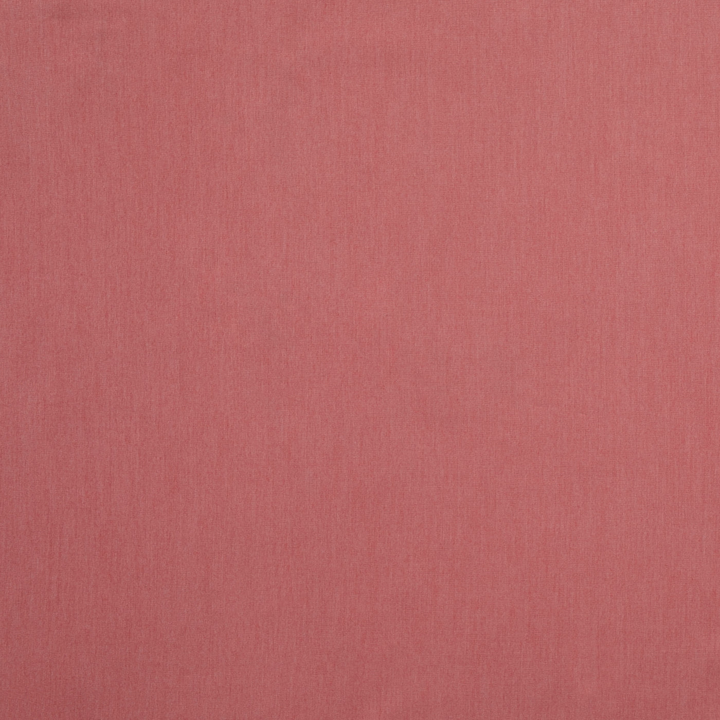 Canvas Peony