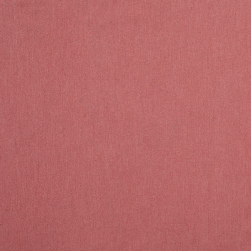 Canvas Peony