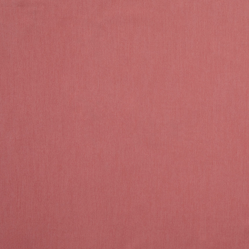 Canvas Peony
